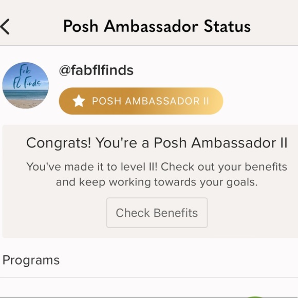 Meet your Posh Ambassador, Fab FL Finds - Picture 2 of 4